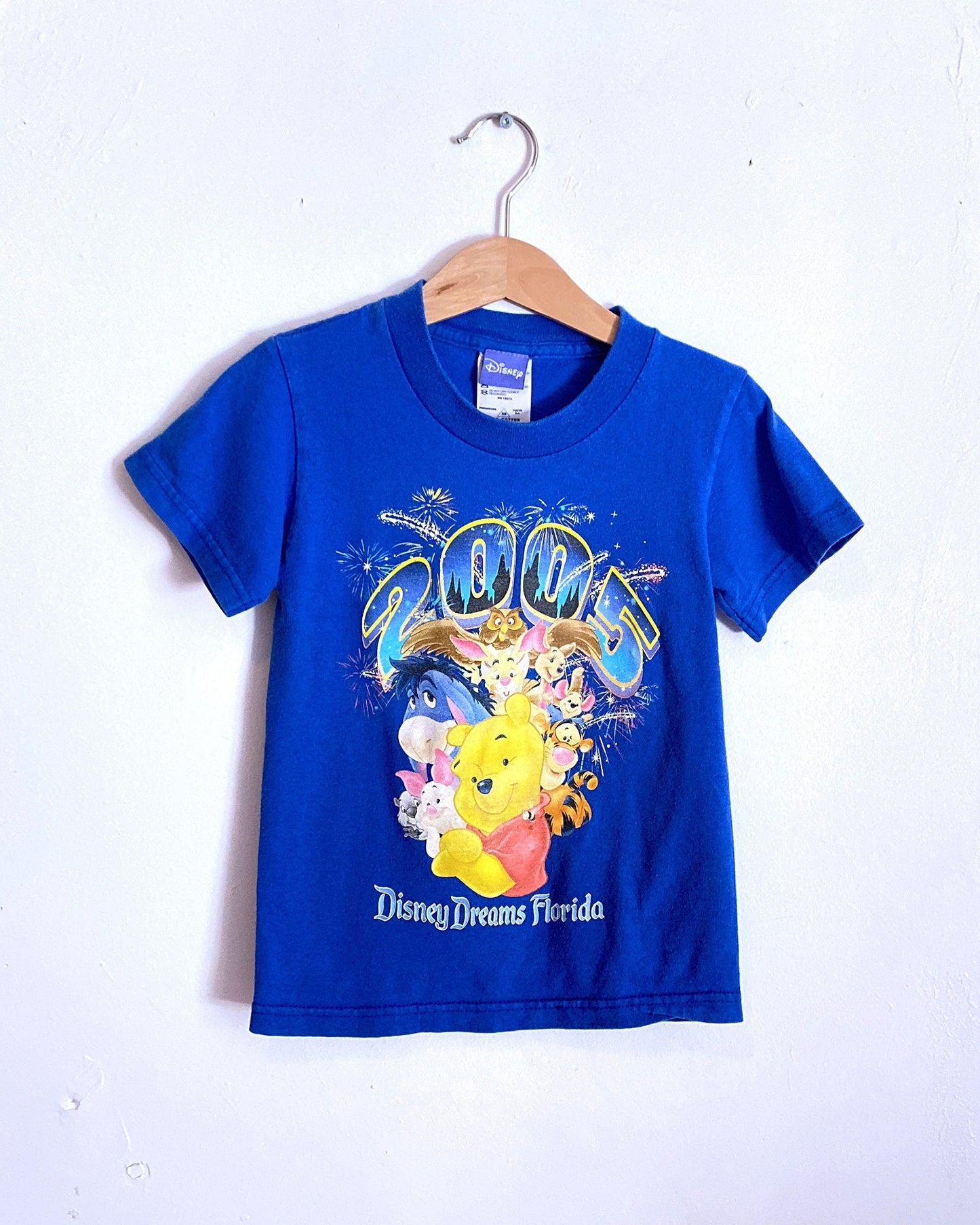 Disney Dreams Florida Blue Winnie the Pooh Kid s T-shirts / Size 2-4Y