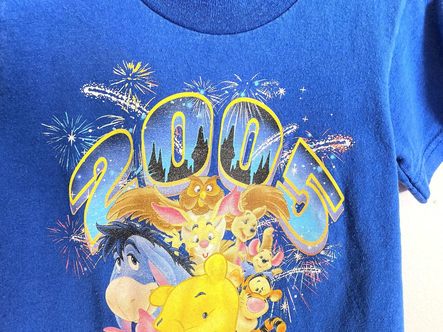 Disney Dreams Florida Blue Winnie the Pooh Kid s T-shirts / Size 2-4Y