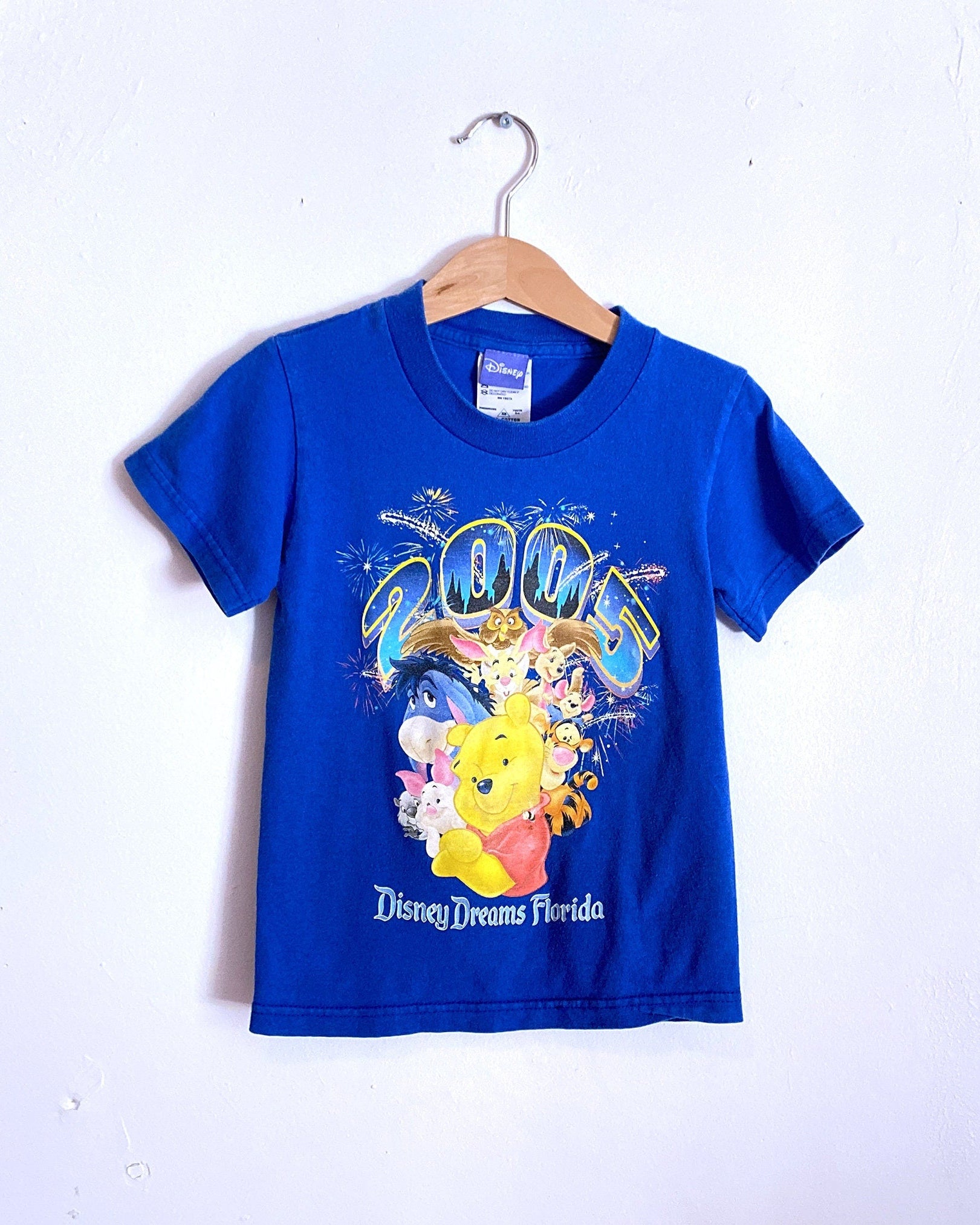 Disney Dreams Florida Blue Winnie the Pooh Kid s T-shirts / Size 2-4Y