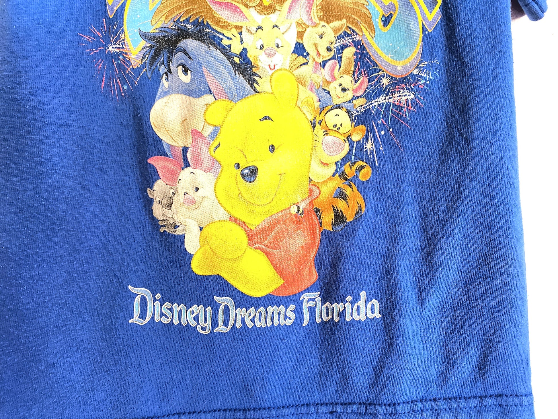 Disney Dreams Florida Blue Winnie the Pooh Kid s T-shirts / Size 2-4Y